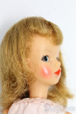 画像2: タミーちゃん/本体(BS-12) I-26-02-01-157-KD-ZI