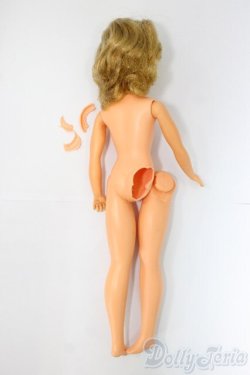 画像7: タミーちゃん/日本製 I-26-02-01-154-KD-ZI