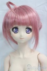 DDS/ミルヒオーレ・F・ビスコッティ I-26-02-01-259-KD-ZI