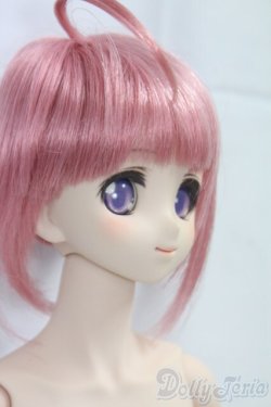 画像3: DDS/ミルヒオーレ・F・ビスコッティ I-26-02-01-259-KD-ZI