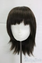8.5-9inch/ウィッグ I-26-02-01-084-KD-ZI