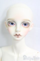 Peaks Woods/FOC Dandy Gio _　Alice in Fantabulousland I-26-02-01-251-KD-ZI