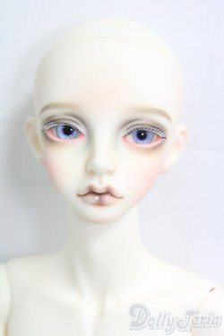 画像1: Peaks Woods/FOC Dandy Gio _　Alice in Fantabulousland I-26-02-01-251-KD-ZI