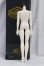 画像2: SHOUSHOU DOLL/1/4 Boy Body I-26-02-08-071-KD-ZI (2)