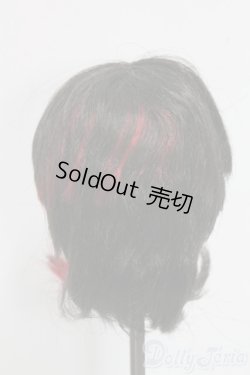 画像2: 8-9inch/ウィッグ I-26-02-08-095-KD-ZI