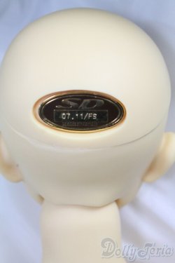 画像4: SD13男の子/フルチョイス　F-16 I-26-02-08-001-KD-ZI