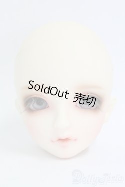 画像1: SD/フルチョイス F-54ヘッド I-26-02-08-070-KD-ZI