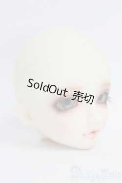 画像2: SD/フルチョイス F-54ヘッド I-26-02-08-070-KD-ZI