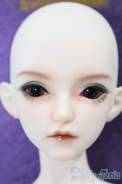 画像6: RINGDOLL/プーアル（Pu'er） I-26-02-08-063-KD-ZI