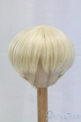 8.5-9inch/ウィッグ I-26-02-08-209-KD-ZI