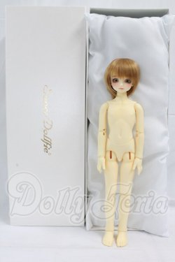 画像4: SDM/F-39：フルチョイス I-26-02-15-144-KD-ZI