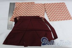 画像2: SD/袴セット I-26-02-15-042-KD-ZI