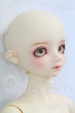 画像4: SD男の子/フルチョイス:F-79 I-26-03-01-004-KD-ZI