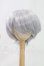 画像1: 9-10inch/ウィッグ I-26-02-22-198-YB-ZI (1)