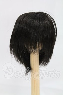 画像1: 6-7inch/ウィッグ I-26-02-22-227-KD-ZI