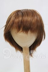 8-9inch/ウィッグ I-26-03-01-327-KD-ZI