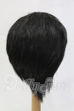画像2: 9-10inch/ウィッグ I-26-03-01-326-KD-ZI