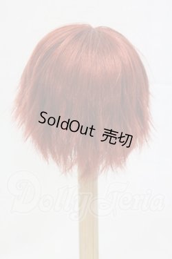 画像2: 9-10inch/ウィッグ I-26-03-01-323-KD-ZI