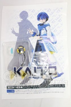 画像3: DDB/KAITO I-26-03-15-002-YB-ZI