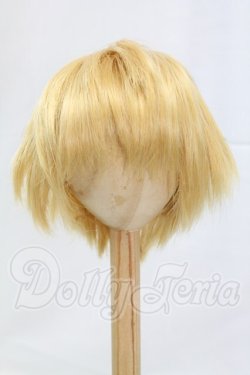 画像1: 8-9inch/ウィッグ I-26-03-15-121-KD-ZI