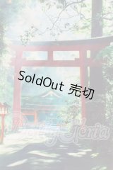 背景布 I-26-03-15-206-KD-ZI