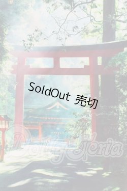 画像1: 背景布 I-26-03-15-206-KD-ZI