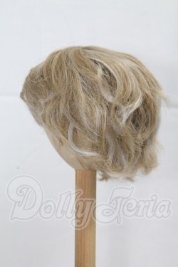 画像2: 9-10inch/ウィッグ I-26-03-22-008-KD-ZI