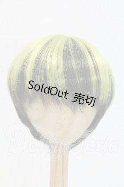 画像1: 8-8.5inch/ウィッグ I-26-03-15-282-KD-ZI