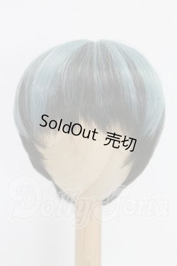 画像1: 8-8.5inch/ウィッグ I-26-03-15-283-KD-ZI