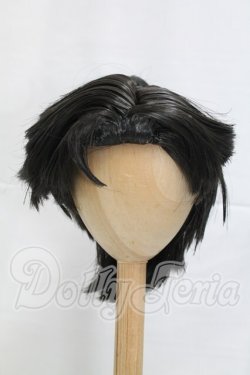 画像1: 8-9inch/ウィッグ I-26-03-15-288-KD-ZI