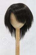 8-9inch/ウィッグ I-26-03-15-137-KD-ZI