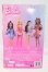 画像3: バービーデラックススタイル I-26-03-29-031-KD-ZI (3)