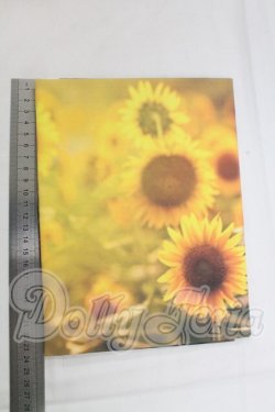 画像2: 背景布90cmｘ50ｃｍ I-26-04-05-201-KD-ZI