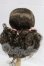 画像2: 7-8inch/ウィッグ　ChicaBi製 I-26-04-05-206-KD-ZI (2)