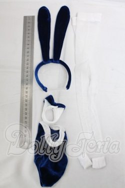 画像2: DD/OF:衣装セット I-26-03-29-224-KD-ZI