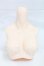 画像1: オビツ50ｃｍ/上半身パーツ I-26-03-22-226-KD-ZI (1)