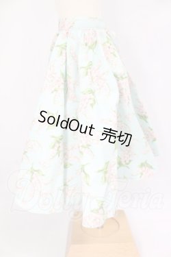 画像2: SDM＆MSD/OF:スカート I-26-05-07-177-KD-ZI