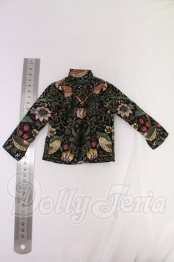 画像2: SD/OF:トップス I-26-04-12-034-KD-ZI