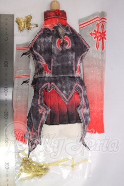 画像4: DD/OF:桜本屋様製 衣装セット I-26-04-12-379-KD-ZI