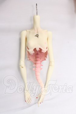 画像6: DOLLZONE/The moon I-26-04-12-103-KD-ZI