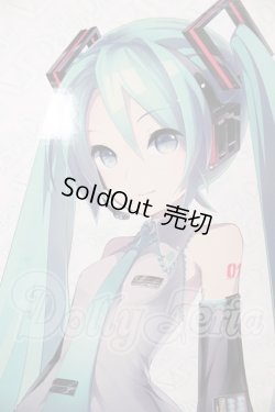 画像1: DD/初音ミク I-26-04-19-400-KD-ZI