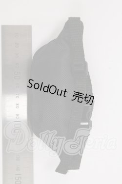 画像2: SD/ウエストバッグ（メッシュ・黒） I-26-04-26-314-KD-ZI