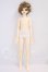 画像4: Myou Doll/1/4 Wind I-26-05-21-242-KD-ZI (4)