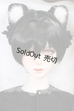 画像1: RS　DOLL/Verroky 黒猫 ver. Limited I-26-05-28-105-KD-ZI