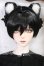 画像1: RS　DOLL/Verroky 黒猫 ver. Limited I-26-05-28-105-KD-ZI (1)
