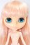 画像1: ネオブライス/ステラサバンナ I-26-05-14-182-KD-ZI (1)