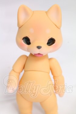 画像1: cocoriang/arno I-26-04-30-060-KD-ZI