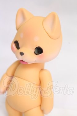 画像2: cocoriang/arno I-26-04-30-060-KD-ZI