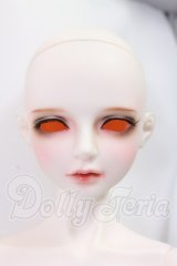LUTS/Senior65 Delf CARMINE I-26-05-28-104-KD-ZI