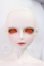 画像1: LUTS/Senior65 Delf CARMINE I-26-05-28-104-KD-ZI (1)